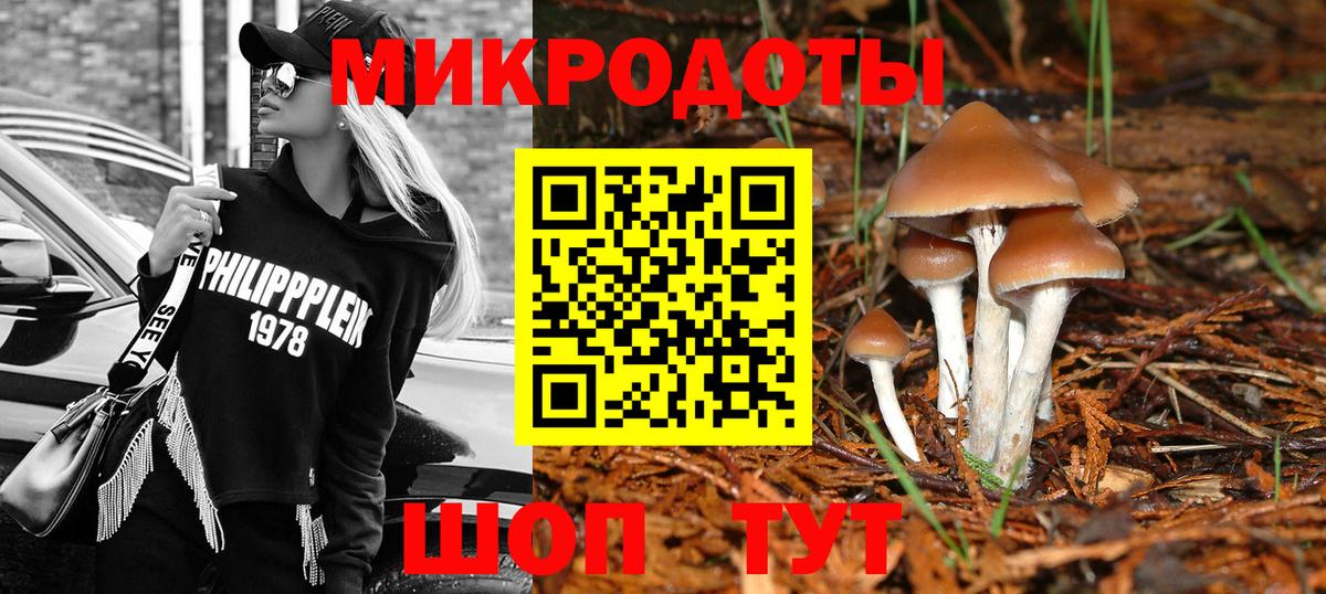 Павловский Посад  Псилоцибиновые грибы GOLDEN TEACHER  Вход с VPN  Галлюциногенные грибы Psilocybe 